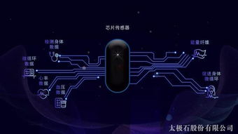 太極石纖維與智能科技融合，開(kāi)啟品牌升級(jí)新篇章